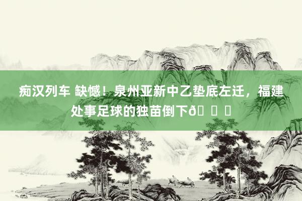 痴汉列车 缺憾！泉州亚新中乙垫底左迁，福建处事足球的独苗倒下💔