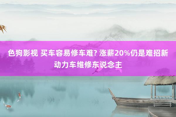 色狗影视 买车容易修车难? 涨薪20%仍是难招新动力车维修东说念主