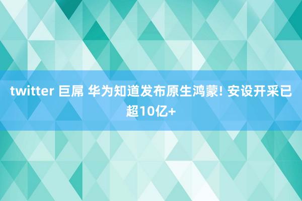 twitter 巨屌 华为知道发布原生鸿蒙! 安设开采已超10亿+