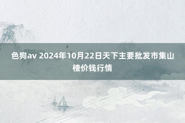 色狗av 2024年10月22日天下主要批发市集山楂价钱行情