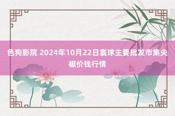 色狗影院 2024年10月22日寰球主要批发市集尖椒价钱行情