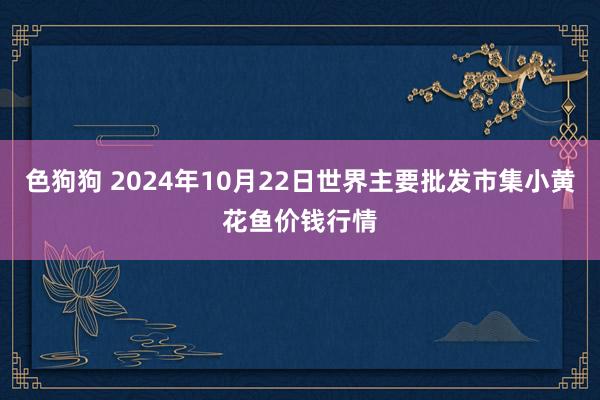 色狗狗 2024年10月22日世界主要批发市集小黄花鱼价钱行情