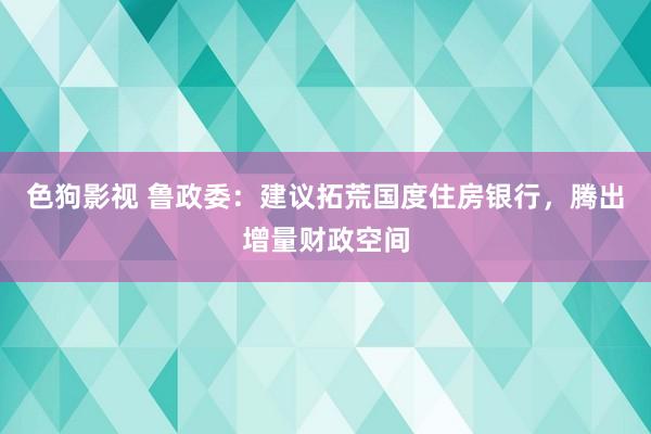 色狗影视 鲁政委：建议拓荒国度住房银行，腾出增量财政空间