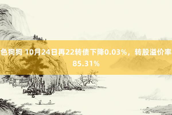 色狗狗 10月24日再22转债下降0.03%，转股溢价率85.31%