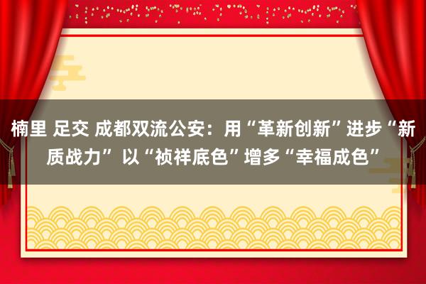 楠里 足交 成都双流公安：用“革新创新”进步“新质战力” 以“祯祥底色”增多“幸福成色”