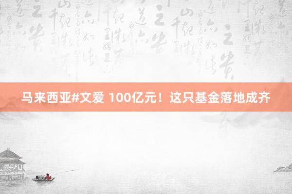 马来西亚#文爱 100亿元！这只基金落地成齐