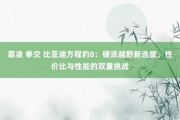 霸凌 拳交 比亚迪方程豹8：硬派越野新选拔，性价比与性能的双重挑战