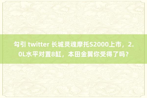 勾引 twitter 长城灵魂摩托S2000上市，2.0L水平对置8缸，本田金翼你受得了吗？