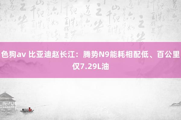 色狗av 比亚迪赵长江：腾势N9能耗相配低、百公里仅7.29L油