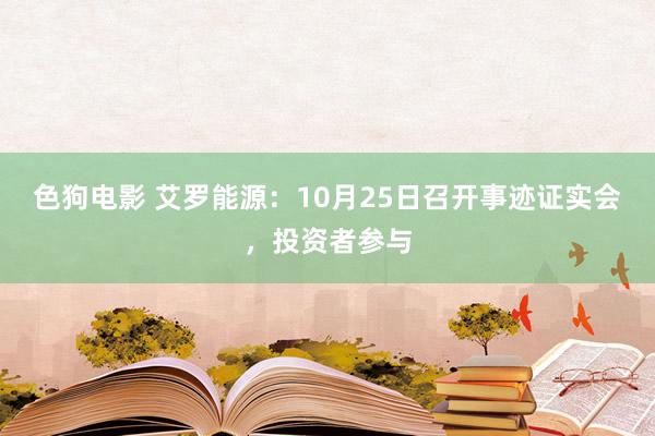 色狗电影 艾罗能源：10月25日召开事迹证实会，投资者参与