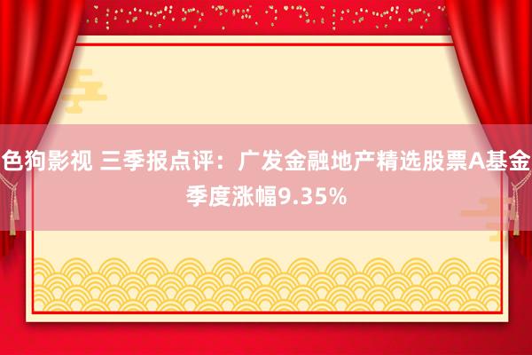 色狗影视 三季报点评：广发金融地产精选股票A基金季度涨幅9.35%