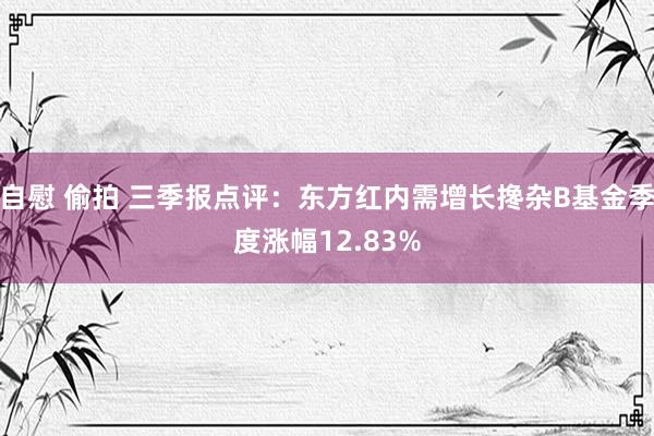 自慰 偷拍 三季报点评：东方红内需增长搀杂B基金季度涨幅12.83%