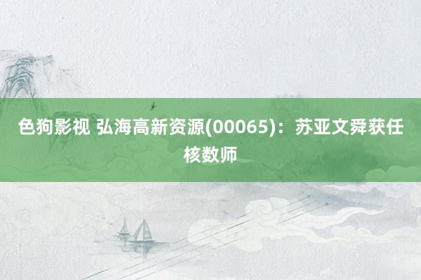 色狗影视 弘海高新资源(00065)：苏亚文舜获任核数师