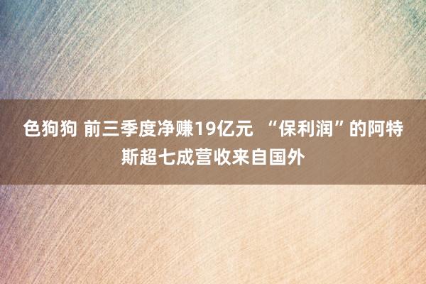 色狗狗 前三季度净赚19亿元  “保利润”的阿特斯超七成营收来自国外