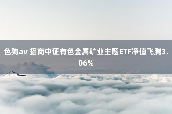 色狗av 招商中证有色金属矿业主题ETF净值飞腾3.06%