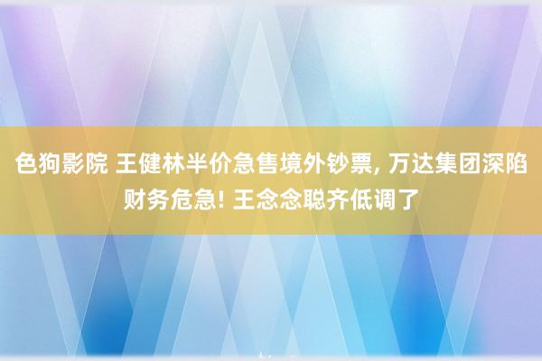 色狗影院 王健林半价急售境外钞票， 万达集团深陷财务危急! 王念念聪齐低调了