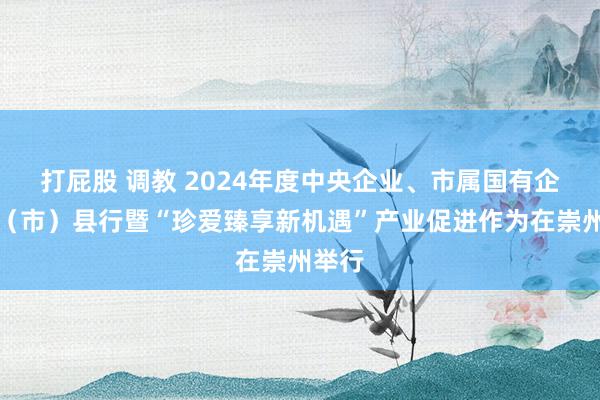 打屁股 调教 2024年度中央企业、市属国有企业区（市）县行暨“珍爱臻享新机遇”产业促进作为在崇州举行