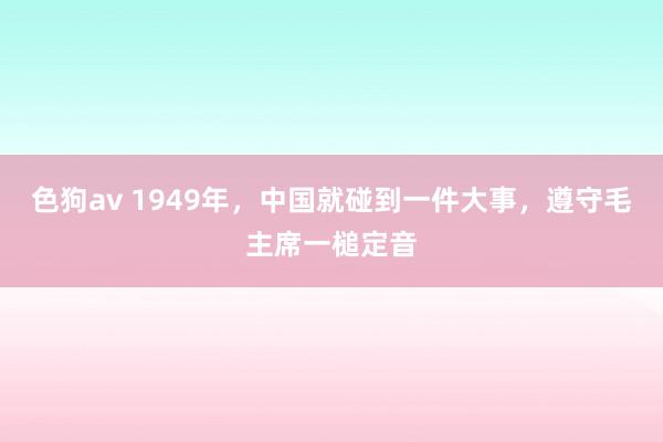 色狗av 1949年，中国就碰到一件大事，遵守毛主席一槌定音