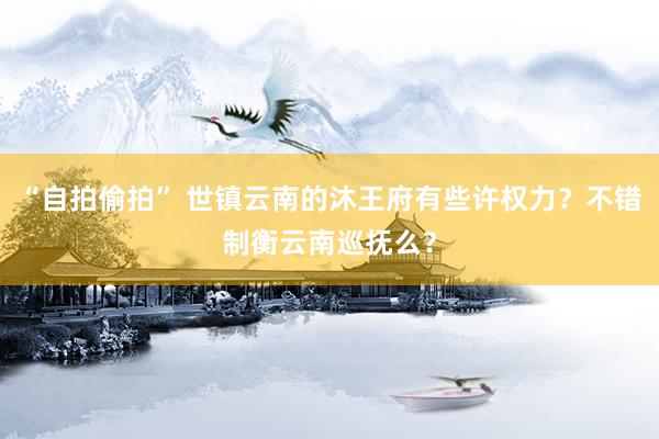 “自拍偷拍” 世镇云南的沐王府有些许权力？不错制衡云南巡抚么？