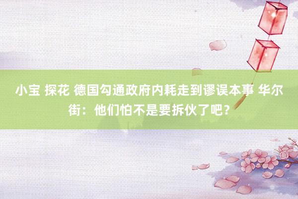 小宝 探花 德国勾通政府内耗走到谬误本事 华尔街：他们怕不是要拆伙了吧？