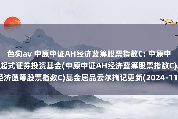 色狗av 中原中证AH经济蓝筹股票指数C: 中原中证AH经济蓝筹股票指数发起式证券投资基金(中原中证AH经济蓝筹股票指数C)基金居品云尔摘记更新(2024-11-07)