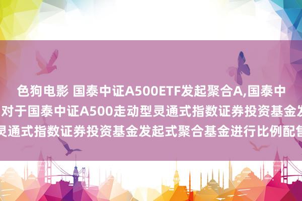 色狗电影 国泰中证A500ETF发起聚合A，国泰中证A500ETF发起聚合C: 对于国泰中证A500走动型灵通式指数证券投资基金发起式聚合基金进行比例配售的公告