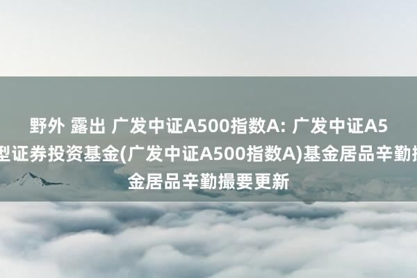 野外 露出 广发中证A500指数A: 广发中证A500指数型证券投资基金(广发中证A500指数A)基金居品辛勤撮要更新