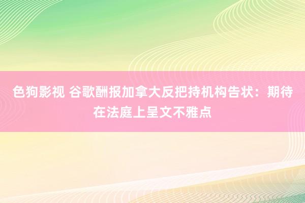 色狗影视 谷歌酬报加拿大反把持机构告状：期待在法庭上呈文不雅点