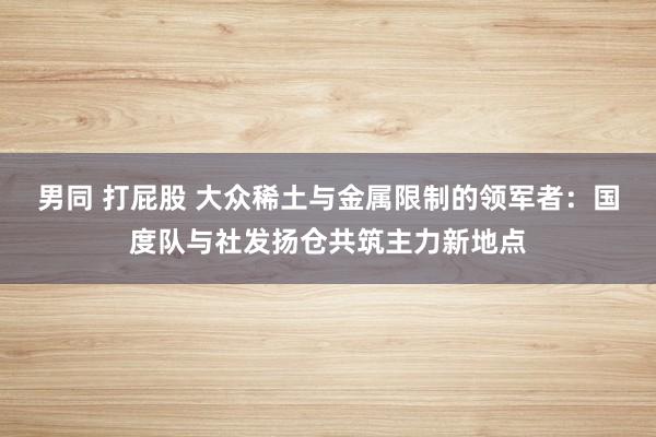 男同 打屁股 大众稀土与金属限制的领军者：国度队与社发扬仓共筑主力新地点