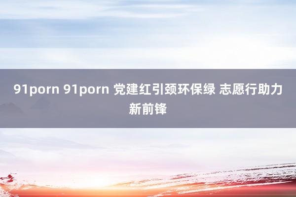 91porn 91porn 党建红引颈环保绿 志愿行助力新前锋