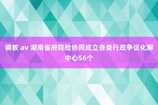 调教 av 湖南省府院检协同成立各类行政争议化解中心56个