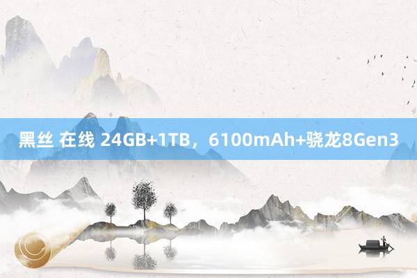 黑丝 在线 24GB+1TB，6100mAh+骁龙8Gen3