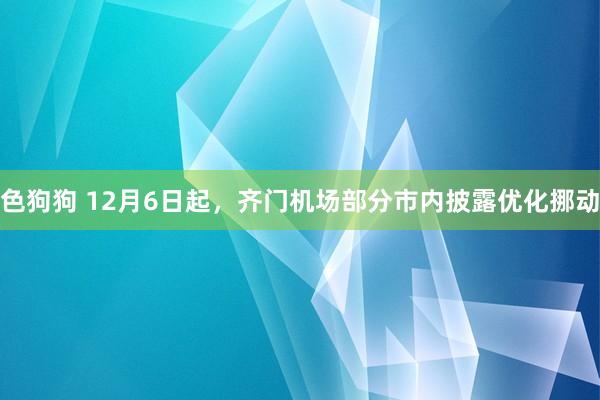 色狗狗 12月6日起，齐门机场部分市内披露优化挪动