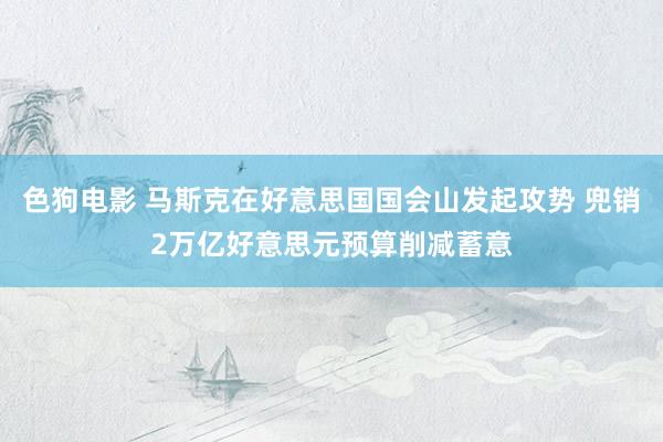 色狗电影 马斯克在好意思国国会山发起攻势 兜销2万亿好意思元预算削减蓄意