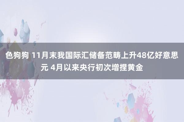 色狗狗 11月末我国际汇储备范畴上升48亿好意思元 4月以来央行初次增捏黄金