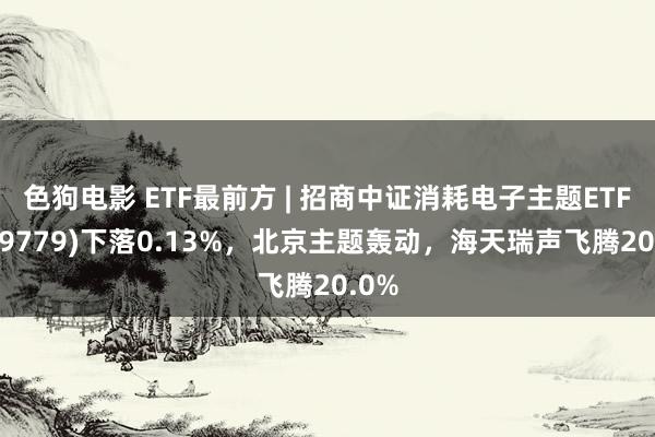 色狗电影 ETF最前方 | 招商中证消耗电子主题ETF(159779)下落0.13%，北京主题轰动，海天瑞声飞腾20.0%