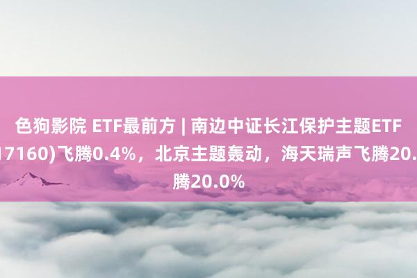 色狗影院 ETF最前方 | 南边中证长江保护主题ETF(517160)飞腾0.4%，北京主题轰动，海天瑞声飞腾20.0%