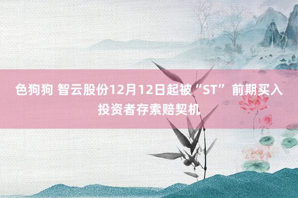 色狗狗 智云股份12月12日起被“ST” 前期买入投资者存索赔契机