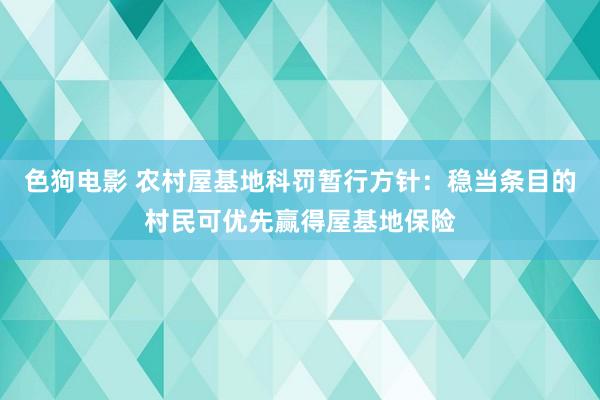 色狗电影 农村屋基地科罚暂行方针：稳当条目的村民可优先赢得屋基地保险