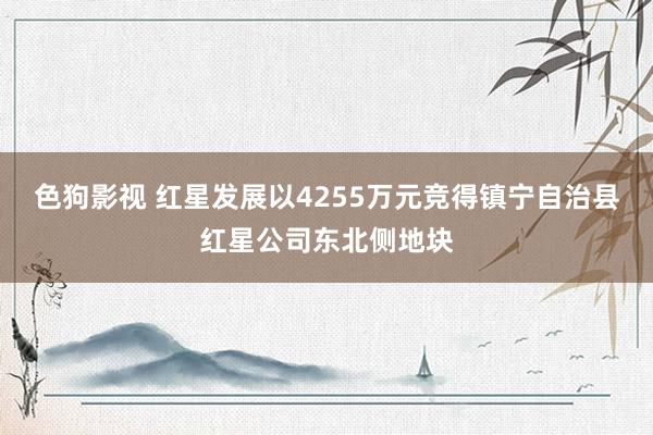 色狗影视 红星发展以4255万元竞得镇宁自治县红星公司东北侧地块