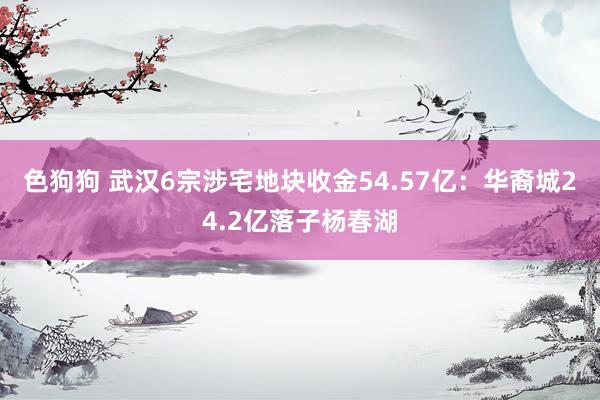 色狗狗 武汉6宗涉宅地块收金54.57亿：华裔城24.2亿落子杨春湖