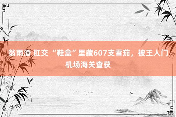 翁雨澄 肛交 “鞋盒”里藏607支雪茄，被王人门机场海关查获