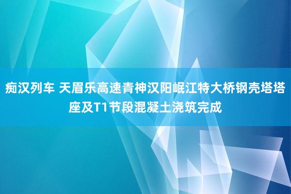 痴汉列车 天眉乐高速青神汉阳岷江特大桥钢壳塔塔座及T1节段混凝土浇筑完成