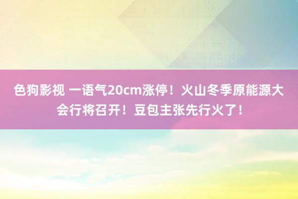 色狗影视 一语气20cm涨停！火山冬季原能源大会行将召开！豆包主张先行火了！