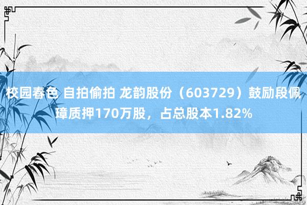 校园春色 自拍偷拍 龙韵股份（603729）鼓励段佩璋质押170万股，占总股本1.82%