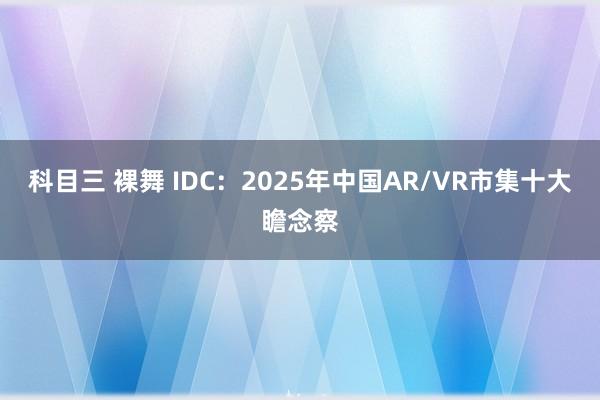 科目三 裸舞 IDC：2025年中国AR/VR市集十大瞻念察