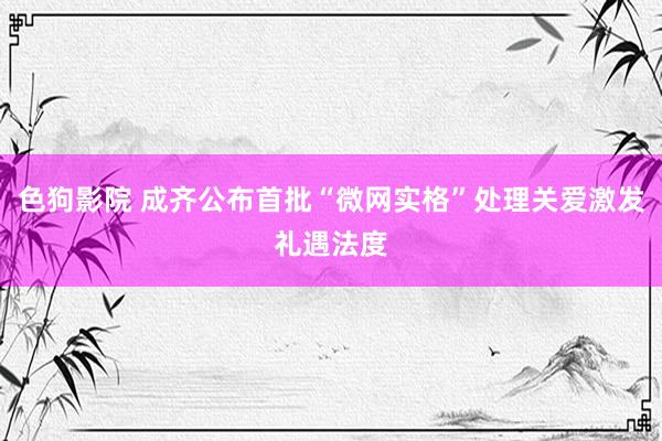 色狗影院 成齐公布首批“微网实格”处理关爱激发礼遇法度