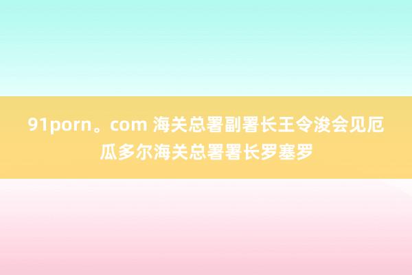 91porn。com 海关总署副署长王令浚会见厄瓜多尔海关总署署长罗塞罗