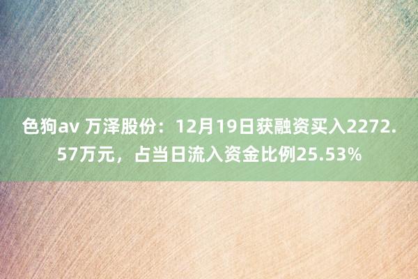 色狗av 万泽股份：12月19日获融资买入2272.57万元，占当日流入资金比例25.53%