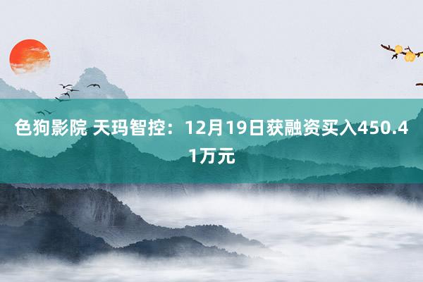 色狗影院 天玛智控：12月19日获融资买入450.41万元